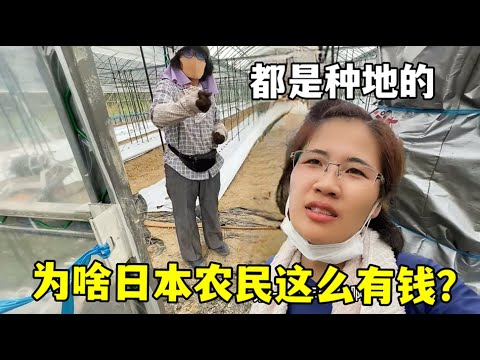 廖桂芳勇夺,举重世锦赛,三项桂冠,世界杯,足球比赛,2023世界杯,国际足球,体育赛事,世界杯赛程,世界杯新闻,世界杯赛程表